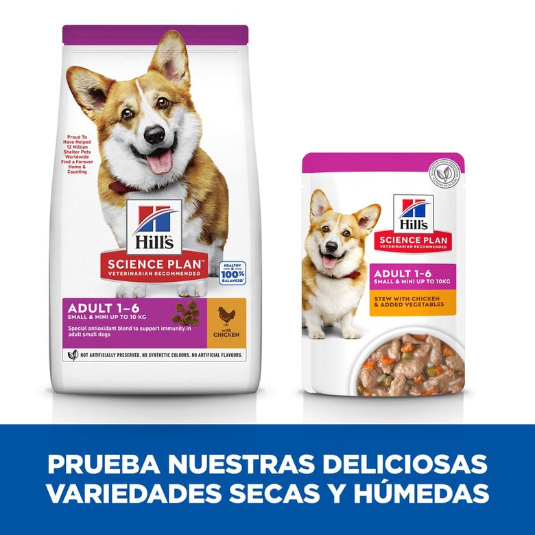 Hill's Science Plan Adult Small & Mini Pollo pienso para perros, , large image number null